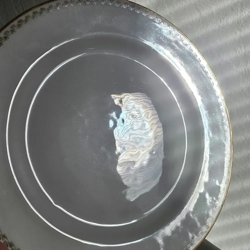 Haviland Limoges France Floral Gold Rim Dinner Plates Lot of 6 10